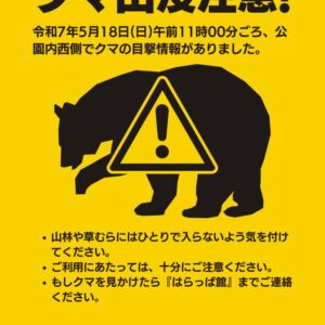 熊出没注意のサムネイル